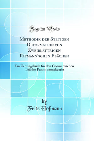 Methodik der Stetigen Deformation von Zweiblättrigen Riemann'schen Flächen