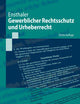 Gewerblicher Rechtsschutz und Urheberrecht (Springer-Lehrbuch) (German Edition)