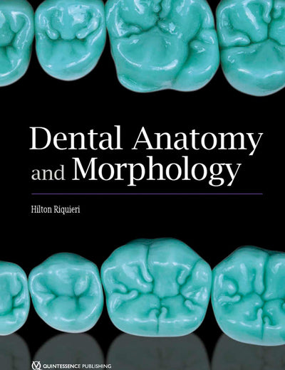 Dental Anatomy and Morphology