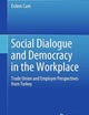 Social Dialogue and Democracy in the Workplace: Trade Union and Employer Perspectives from Turkey