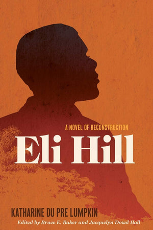 Eli Hill: A Novel of Reconstruction