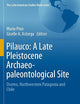 Pilauco: A Late Pleistocene Archaeo-paleontological Site: Osorno, Northwestern Patagonia and Chile (The Latin American Studies Book Series)