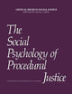 The Social Psychology of Procedural Justice (Critical Issues in Social Justice)