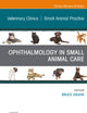 Ophthalmology in Small Animal Care, An Issue of Veterinary Clinics of North America: Small Animal Practice (The Clinics: Veterinary Medicine, Volume 53-2)