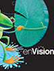 EnVision Math, Grade 2