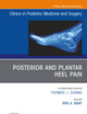 Posterior and Plantar Heel Pain, An Issue of Clinics in Podiatric Medicine and Surgery (The Clinics: Orthopedics, Volume 38-2)