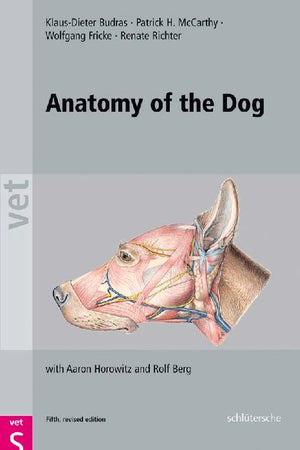 Anatomy of the Dog