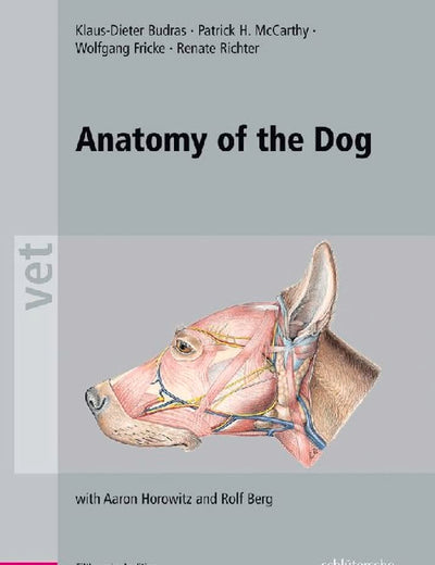 Anatomy of the Dog