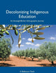 Decolonizing Indigenous Education: An Amazigh/Berber Ethnographic Journey (Postcolonial Studies in Education)