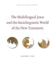 The Multilingual Jesus and the Sociolinguistic World of the New Testament (Linguistic Biblical Studies, 12)