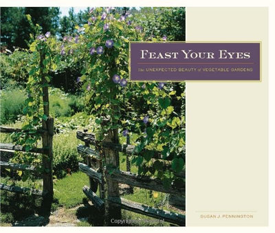 Feast Your Eyes: The Unexpected Beauty of Vegetable Gardens