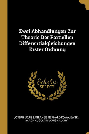 Zwei Abhandlungen Zur Theorie Der Partiellen Differentialgleichungen Erster Ordnung (German Edition)