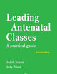 Leading Antenatal Classes