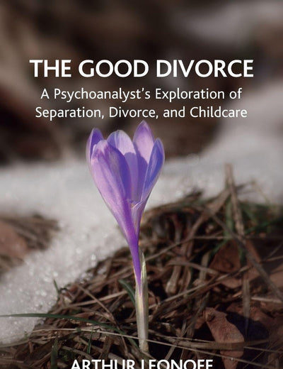 The Good Divorce: A Psychoanalyst's Exploration of Separation, Divorce, and Childcare