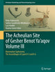 The Acheulian Site of Gesher Benot Ya‘aqov Volume III: Mammalian Taphonomy. The Assemblages of Layers V-5 and V-6 (Vertebrate Paleobiology and Paleoanthropology)