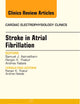 Stroke in Atrial Fibrillation, An Issue of Cardiac Electrophysiology Clinics (Volume 6-1) (The Clinics: Internal Medicine, Volume 6-1)