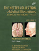 The Netter Collection of Medical Illustrations: Nervous System, Volume 7, Part I - Brain: Part I - Anatomy and Physiology (Netter Green Book Collection)