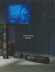 Sheela Gowda: Remains