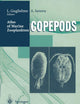 Atlas of Marine Zooplankton Straits of Magellan: Copepods