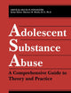 Adolescent Substance Abuse: A Comprehensive Guide to Theory and Practice (Critical Issues in Psychiatry)