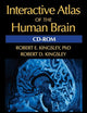 Interactive Atlas of the Human Brain