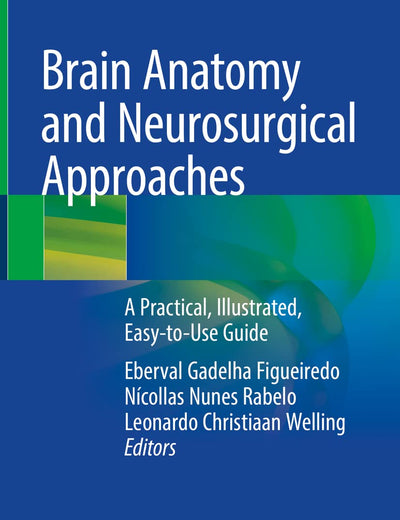 Brain Anatomy and Neurosurgical Approaches: A Practical, Illustrated, Easy-to-Use Guide