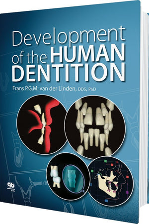 Development of the Human Dentition