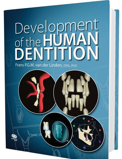 Development of the Human Dentition