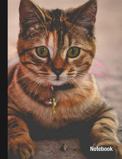 Cute Kitten: Lined Notebook