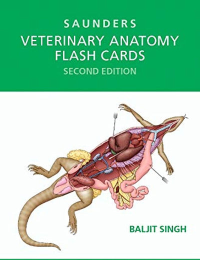 Veterinary Anatomy Flash Cards