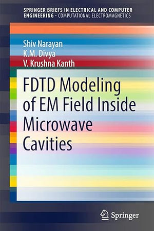 FDTD Modeling of EM Field inside Microwave Cavities (SpringerBriefs in Computational Electromagnetics)