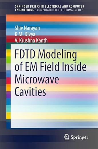 FDTD Modeling of EM Field inside Microwave Cavities (SpringerBriefs in Computational Electromagnetics)