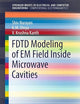 FDTD Modeling of EM Field inside Microwave Cavities (SpringerBriefs in Computational Electromagnetics)