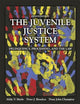 The Juvenile Justice System: Delinquency, Processing, and the Law (8th Edition)
