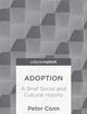 Adoption: A Brief Social and Cultural History (Palgrave Pivot)