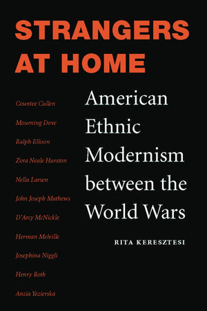 Strangers at Home: American Ethnic Modernism between the World Wars