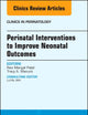 Perinatal Interventions to Improve Neonatal Outcomes, An Issue of Clinics in Perinatology (Volume 45-2) (The Clinics: Internal Medicine, Volume 45-2)