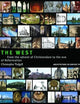 The West: From the advent of Christendom to the eve of Reformation (Architecture in Context)