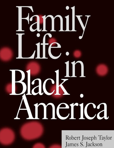 Family Life in Black America