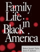 Family Life in Black America