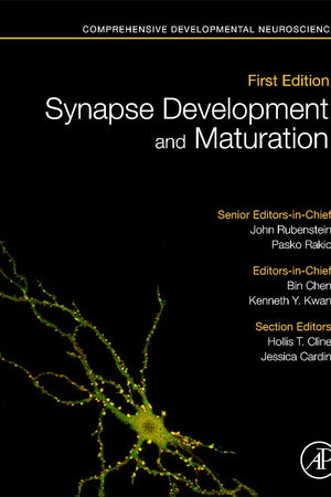 Synapse Development and Maturation: Comprehensive Developmental Neuroscience