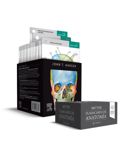 Netter. Flashcards de anatomía