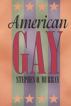 American Gay (Worlds of Desire)