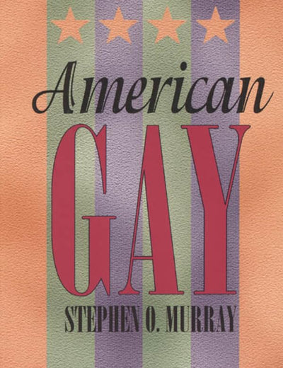 American Gay (Worlds of Desire)