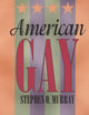 American Gay (Worlds of Desire)