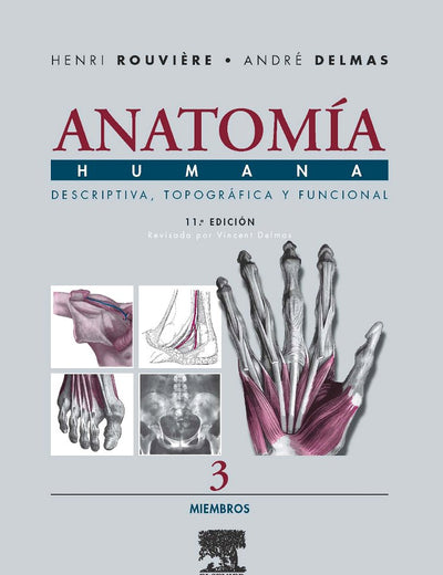 Anatomía Humana Descriptiva, topográfica y funcional. Tomo 3. Miembros (Spanish Edition)