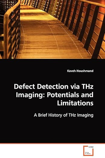 Defect Detection via THz Imaging: Potentials and Limitations: A Brief History of THz Imaging (German Edition)