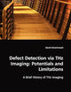 Defect Detection via THz Imaging: Potentials and Limitations: A Brief History of THz Imaging (German Edition)