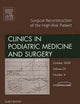 Surgical Reconstruction of the High Risk Patient, An Issue of Clinics in Podiatric Medicine and Surgery (Volume 25-4) (The Clinics: Orthopedics, Volume 25-4)