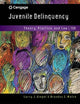 Juvenile Delinquency: Theory, Practice, and Law